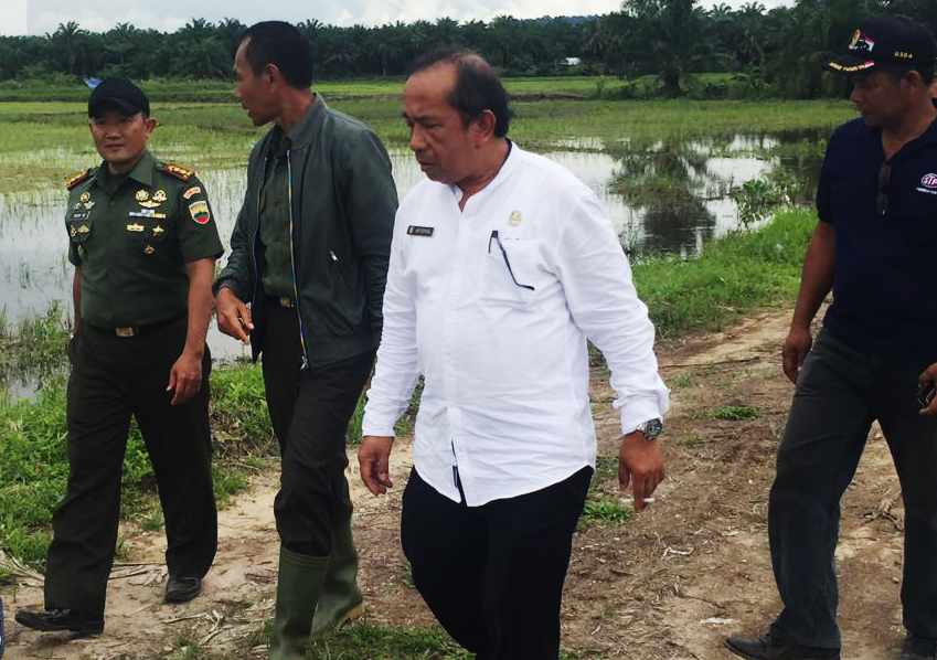 inas Pertanian beserta jajaran TNI melakukan kunjungan untuk melihat langsung pelaksanaan cetak sawah baru tersebut.