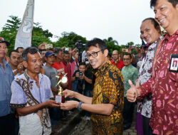Kontes Sapi dalam Gerakan Nagari Elok Sejahtera