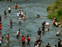 Warga Jorong Kubu Anau Tangkap Ikan ‘Buka Lubuk Larangan’
