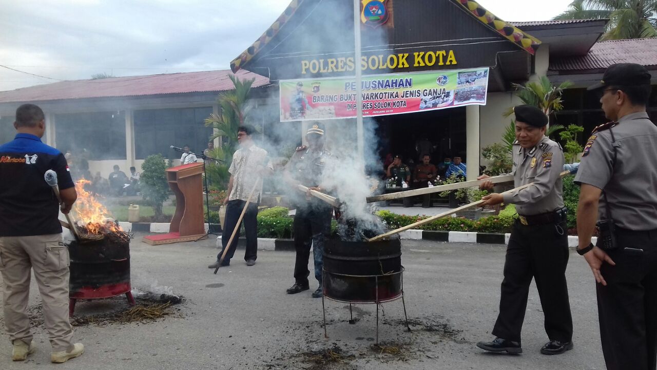 Pemusnahan barang bukti tindak kejahatan narkoba berupa ganja seberat 90 kilogram oleh Polres Solok Kota di halaman Mapolres Solok Kota, Kota Solok, Jumat (12/1/2018). Foto : Fernandez