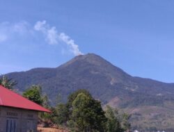 Puncak Gunung Talang Terbakar