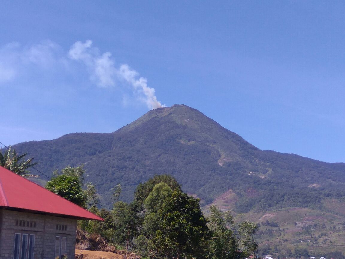 Puncak Gunung Talang terbakar. Foto : Istimewa