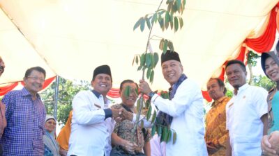 Godih Sontiang Berikan Bantuan 400 Batang Bibit Durian Untuk Nagari Sungayang