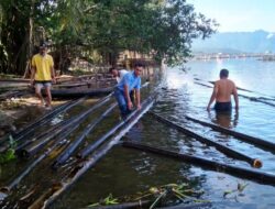 Save Maninjau, 24 Unit Bangkai Karamba Jaring Apung Dievakuasi Masyarakat Tanjung Raya