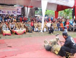 Alek Nagari dan Festival Silek Songsong Nagari Tebing Tinggi Harus Jadi Agenda Tahunan