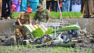 Jarwo, Hadir Untuk Maksimalkan Produksi Padi Di Tanah Datar