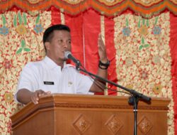 Bursa Inovasi Desa Kabupaten Tanah Datar 2018