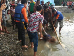 Jasad Lelaki Tanpa Indentitas Ditemukan Mengambang di Batang Ombilin
