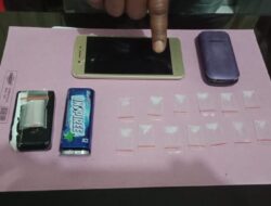 Petani TO Ditangkap Polisi, 13 Paket Kecil Sabu Diamankan