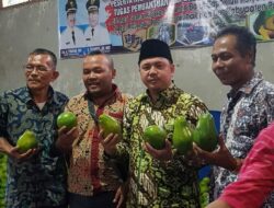 Alpukat Asean Games Terancam