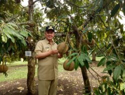 Wagub Sumbar: Perlu Tingkatkan Ekonomi Masyarakat dengan Potensi Tamanan Buah Unggul