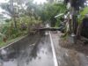 Salah satu pohon tumbang menutupi badan jalan di kawasan Simpang Haru, Padang, Sabtu 22 Juni 2019. Foto : Istimewa