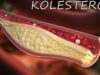 ilustrasi kolestrol