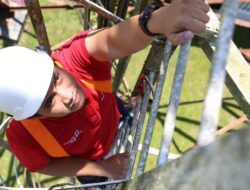 22 Ribu BTS Tuntas Dibangun Telkomsel di 2019