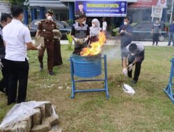 BNNP Sumbar Musnahkan 153,5 Kilogram Ganja Kering