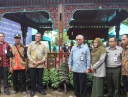 Pisang Kepok Tanjung Selayo Akan Rambah Market Internasional