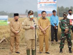 Wagub : Jangan Sampai Areal Sawah Solok Terpakai Untuk Areal Pembanguan