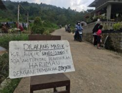 Kembali Satu Ekor Harimau Sumatra Masuk Perangkap Di Kabupaten Solok