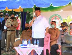Bupati Solok Apresiasi Penggiat Penanaman Bibit Katak Porang