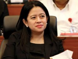 Longsor di Tarakan Memakan Belasan Korban, Puan Imbau Masyarakat  Tingkatkan Kewaspadaan