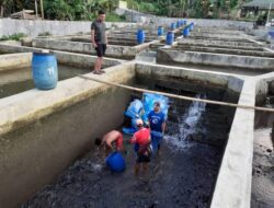 Permintaan Ikan Nila Terus Meningkat