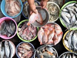 Harga Ikan Stabil, Daya Beli Konsumen Menurun