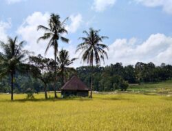 Peringatan Hari Tani Ke 60 Di Kota Solok Mengangkat Tema Pertanian Andalan Ekonomi Nasional Pada Masa Covid-19