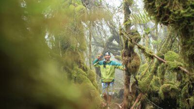 Keren ! Pesona Hutan Lumut Eksotis Satu Ini Ada di Sumatera Barat