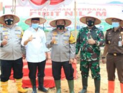 Bantu Masyarakat Terdampak Covid-19, Polda Sumbar Tanam Bibit Nilam