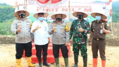 Bantu Masyarakat Terdampak Covid-19, Polda Sumbar Tanam Bibit Nilam