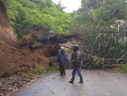 Lalu Lintas Kabupaten Panta – Ngarai Kecamatan Matur Ditutup Sementara