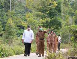 Wako Solok Kunjungi Agrowisata Batu Patah Payo