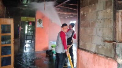 Si Jago Merah Lahap Rumah Permanen di Dharmasraya