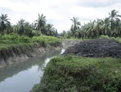 Langkah Nyata Pemkab Asahan Atasi Banjir, Dinas PUPR Lakukan Normalisasi Saluran Air
