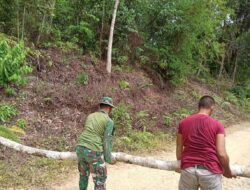 Satgas TMMD 110/ Kodim 1201 dan Warga Evakuasi Pohon Tumbang