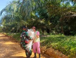 Satgas TMMD 110/ Kodim 1201 Bantu Ibu-ibu Panggul Karung Padi
