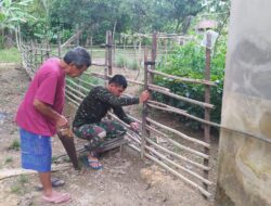 Satgas TMMD 110/ Kodim 1201 Perbaiki Pagar Rumah Warga Tolok