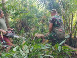 Anggota Satgas TMMD 110/ Kodim 1201 Bantu Warga Potong Pohon Gunakan Gergaji Mesin