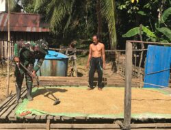 Anggota Satgas TMMD 110/ Kodim 1201 Bantu Warga Jemur Padi