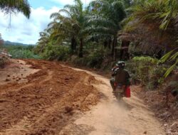 Kontur Desa Tolok yang Berbukit Jadi Daya Tarik Tersendiri