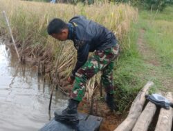 Kemarau, Anggota Satgas TMMD 110/ Kodim 1201 Cek Saluran Irigasi Warga