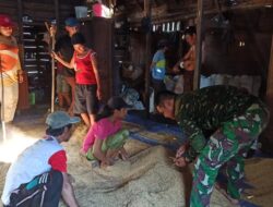 Anggota Satgas TMMD Kodim 1201 Bantu Pisahkan Ampas Ranting Padi