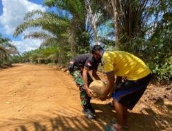 Satgas TMMD 110/ Kodim 1201 Singkirkan Bebatuan dari Pinggir Jalan