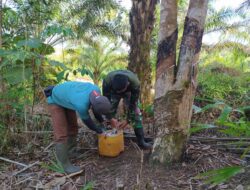 Sambangi Petani Karet di Kebun, Satgas TMMD 110/ Kodim 1201 Ajak Warga Terus Jaga Keseimbangan Alam