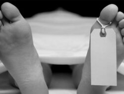 Dua Pekerja Perkebunan Sawit Tewas Disambar Petir