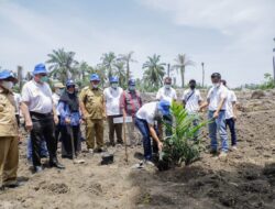 Tanam Perdana Kemitraan Antara PT BSP TBK dengan Gapoktan Sinar Lestari