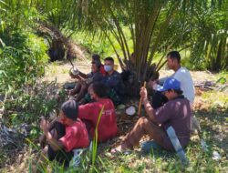 Di bawah Pohon Sawit, Satgas Pra TMMD dan Warga Jalin Persaudaraan