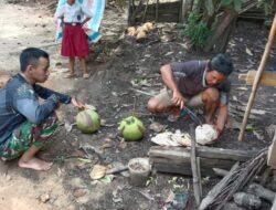 Warga Potongkan Kelapa Sebagai Wujud Terimakasih Kepada Anggota Satgas TMMD 110 /Kodim 1201