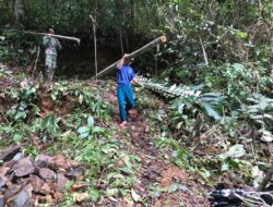 Satgas TMMD 110/Kodim 1201 Bersama Warga Pikul Batang Bambu