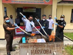 Satnarkoba Polres Pasbar Musnahkan 27 Batang Ganja